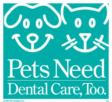 Pets Need Dental Care Too