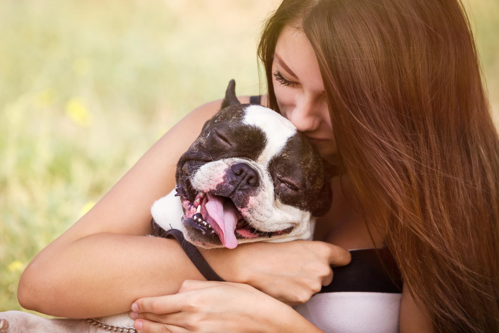 From Spring Trails to Winter Snow: A Utah Pet Owner’s Guide to Fleas, Ticks, Mosquitoes, and Heartworms