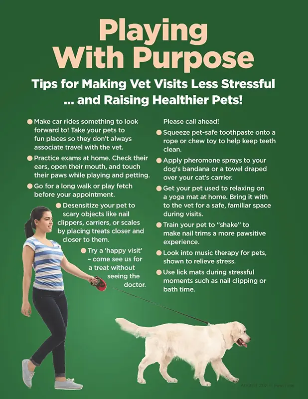 Playing With Purpose Dog 1