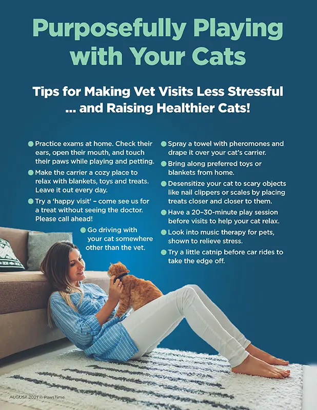 Playing With Purpose Cat 1