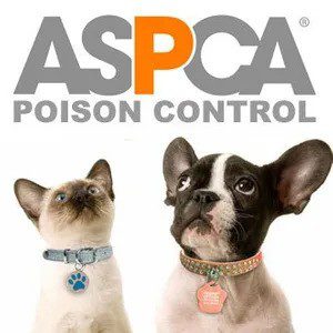 Aspca Poison Control Cc98c764 300w
