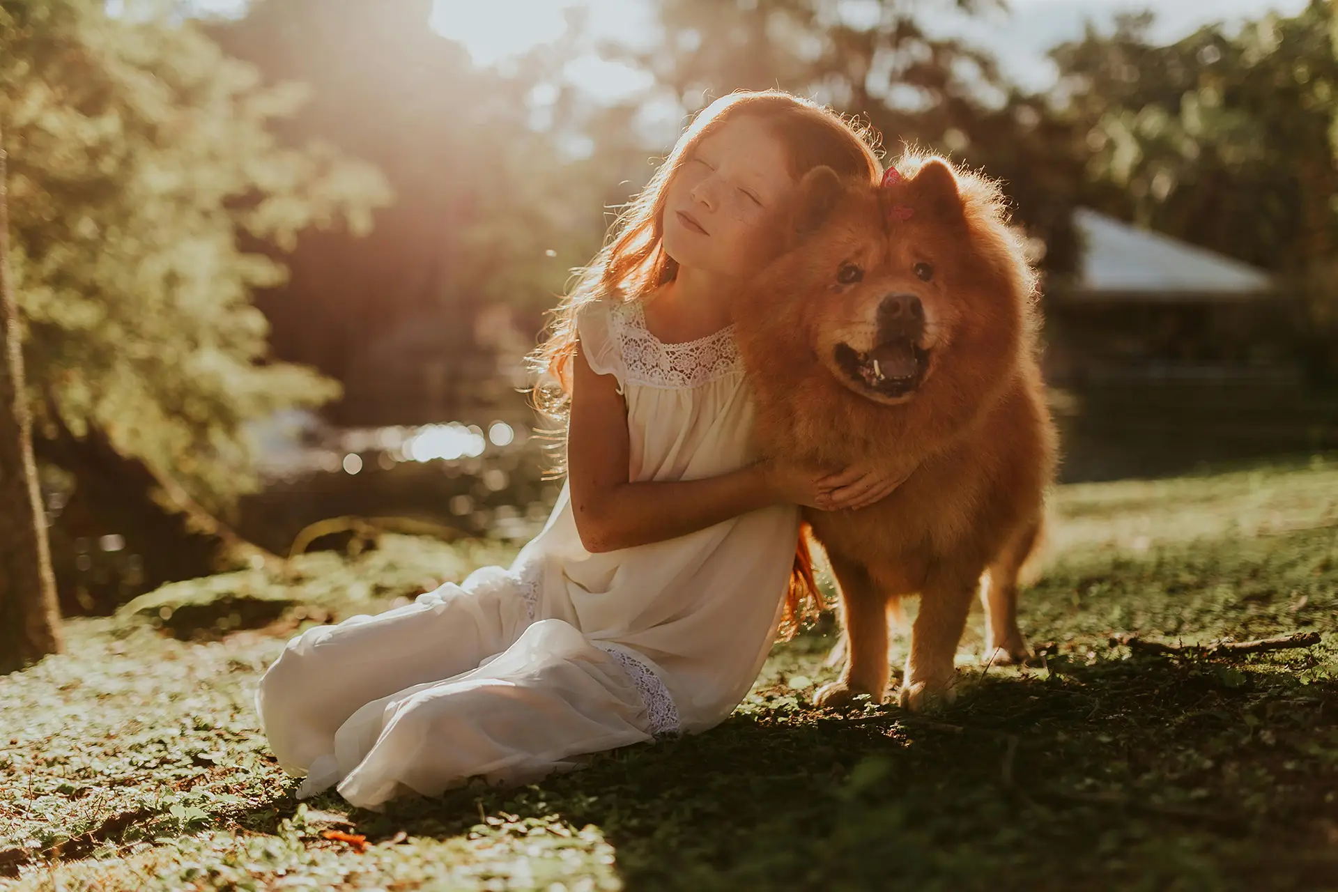 Pet Wellness Treatment in Mapleton, UT